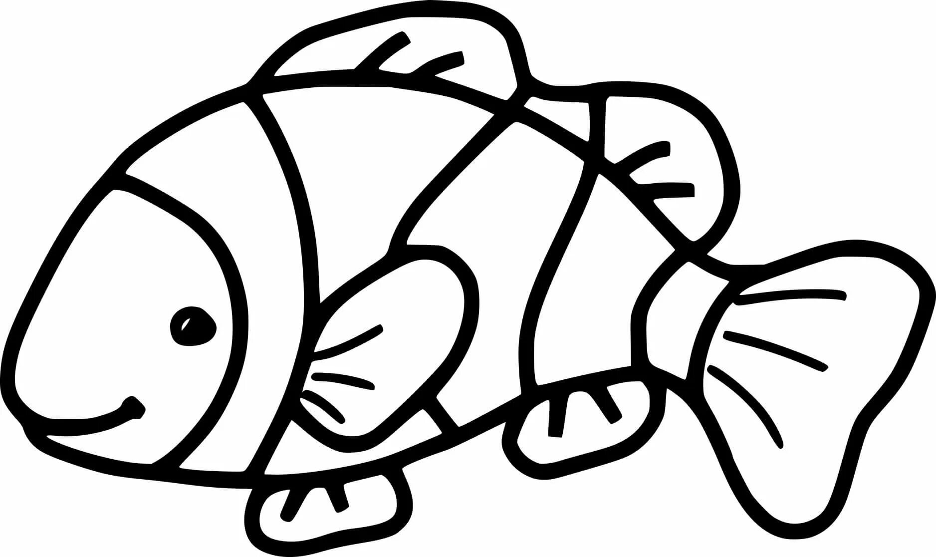 Рыба клоун рисунок #3