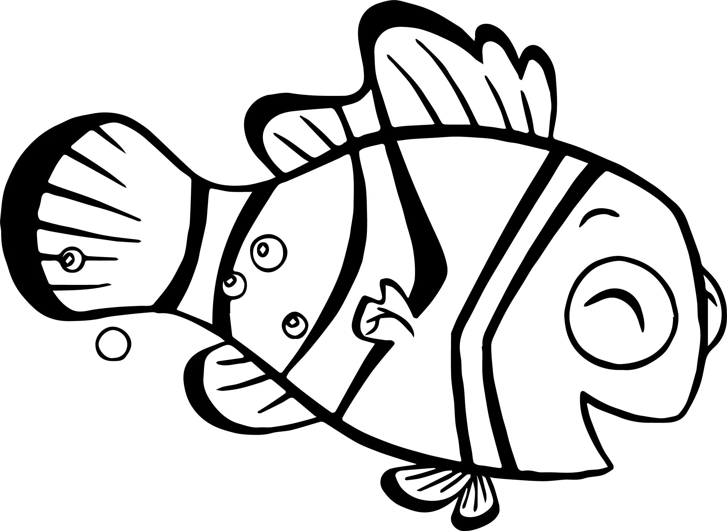 Рыба клоун рисунок #4
