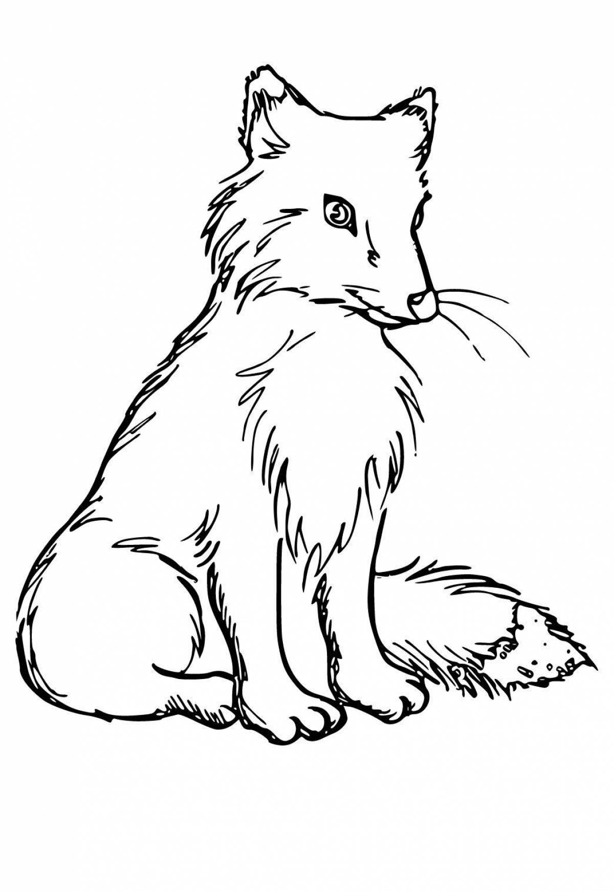 Coloring page graceful red foxes