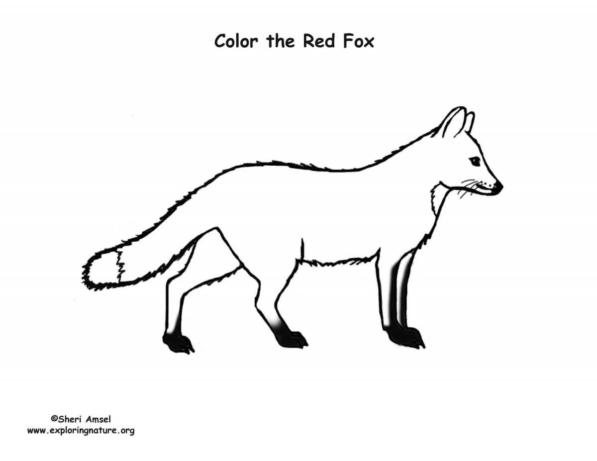 Coloring mystical red foxes