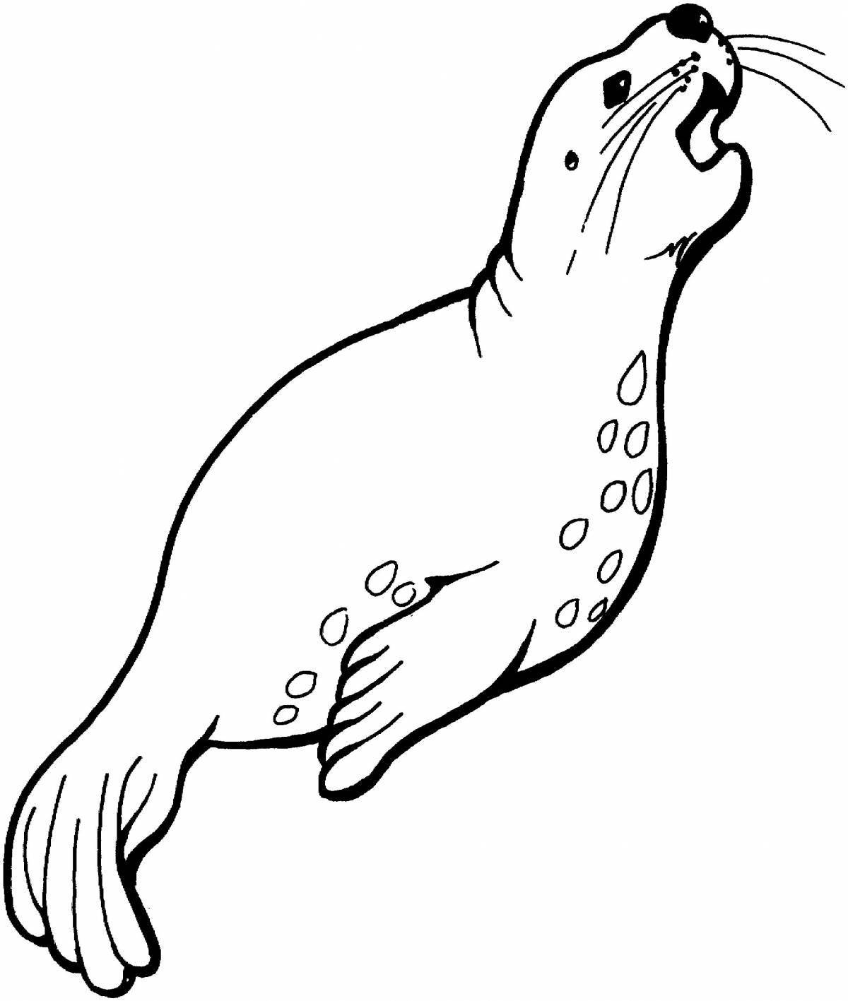 Colorful sea lion coloring page for kids