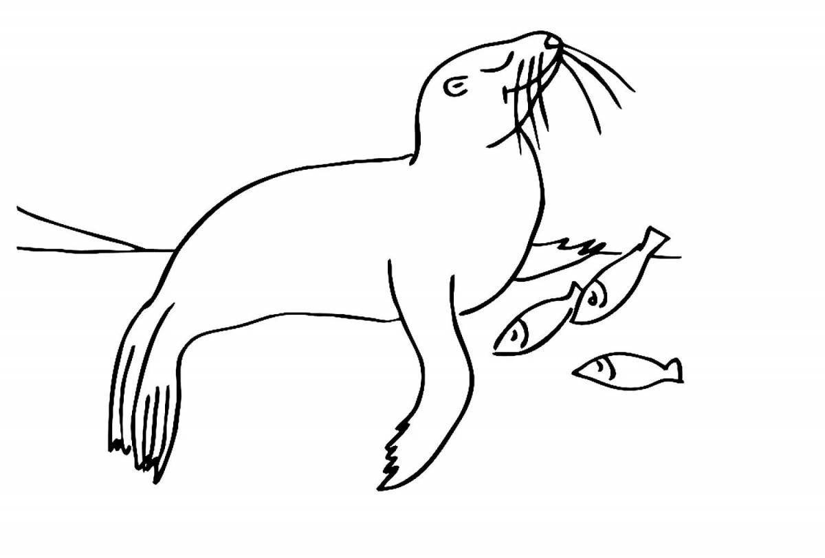 Funny sea lion coloring book for kids