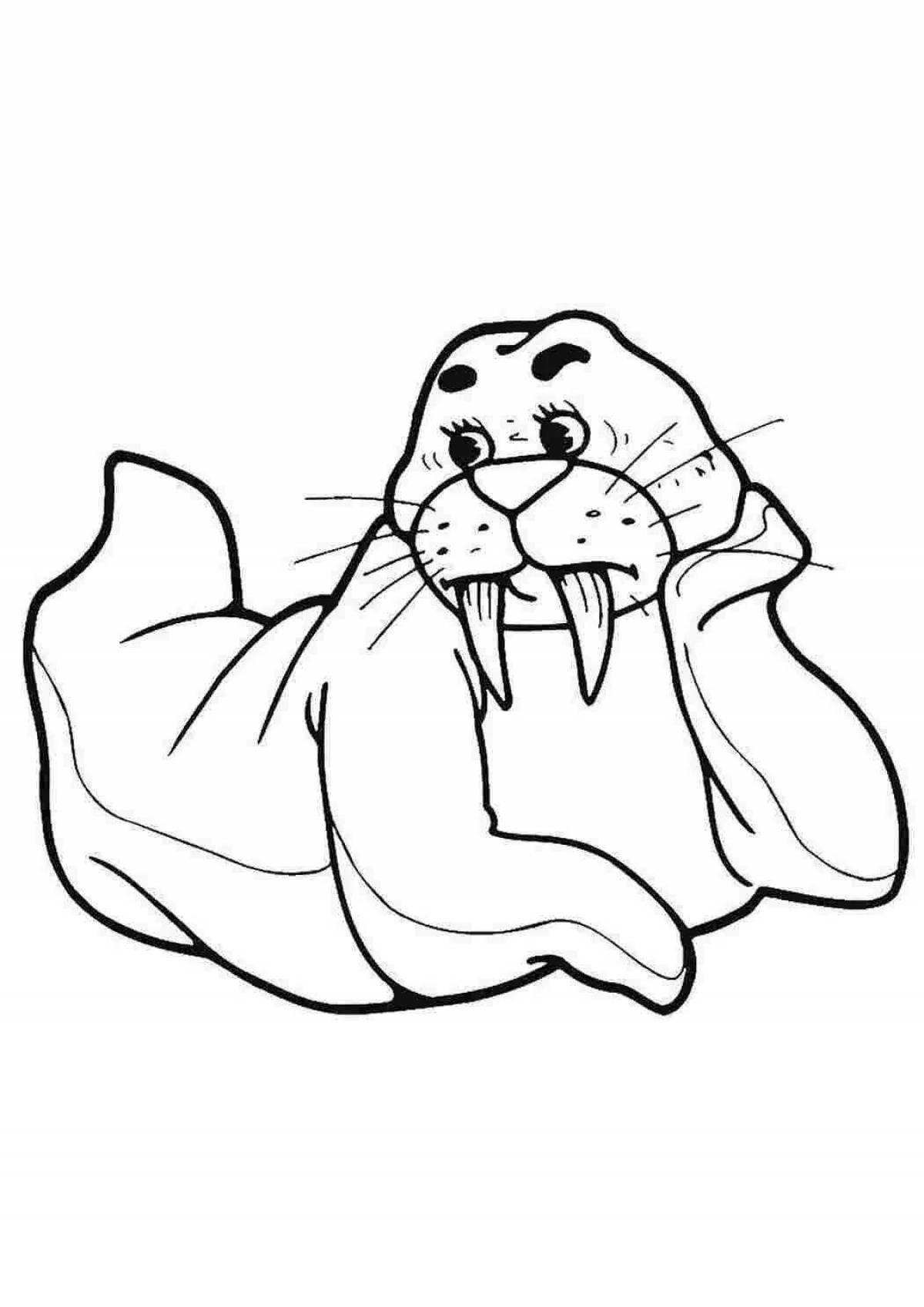 Creative sea lion coloring book for kids
