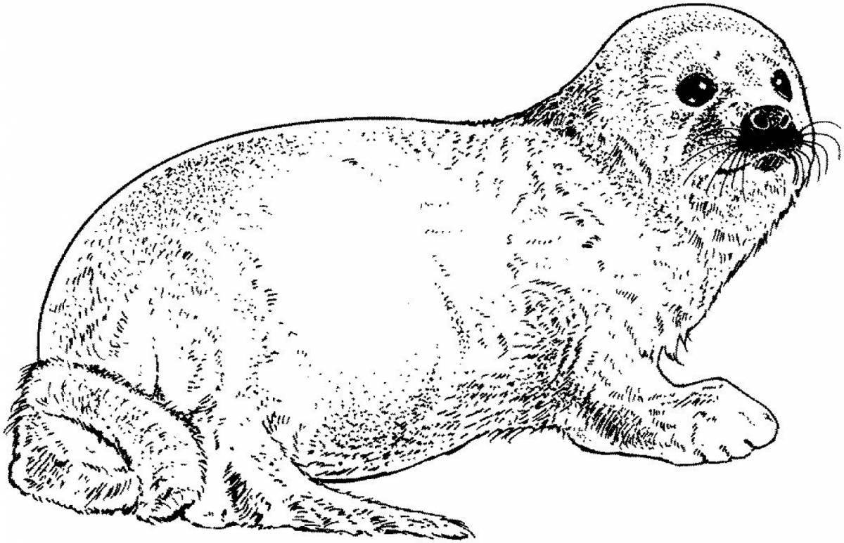 Innovative sea lion coloring book for kids