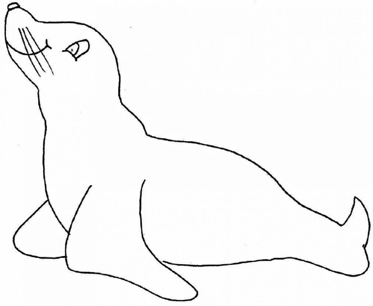 Attractive sea lion coloring pages for kids