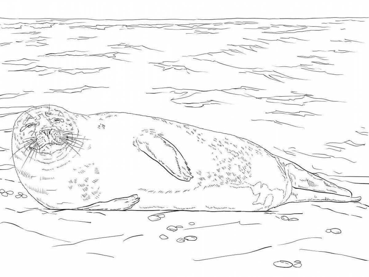 Драматическая страница раскраски морского льва для детей