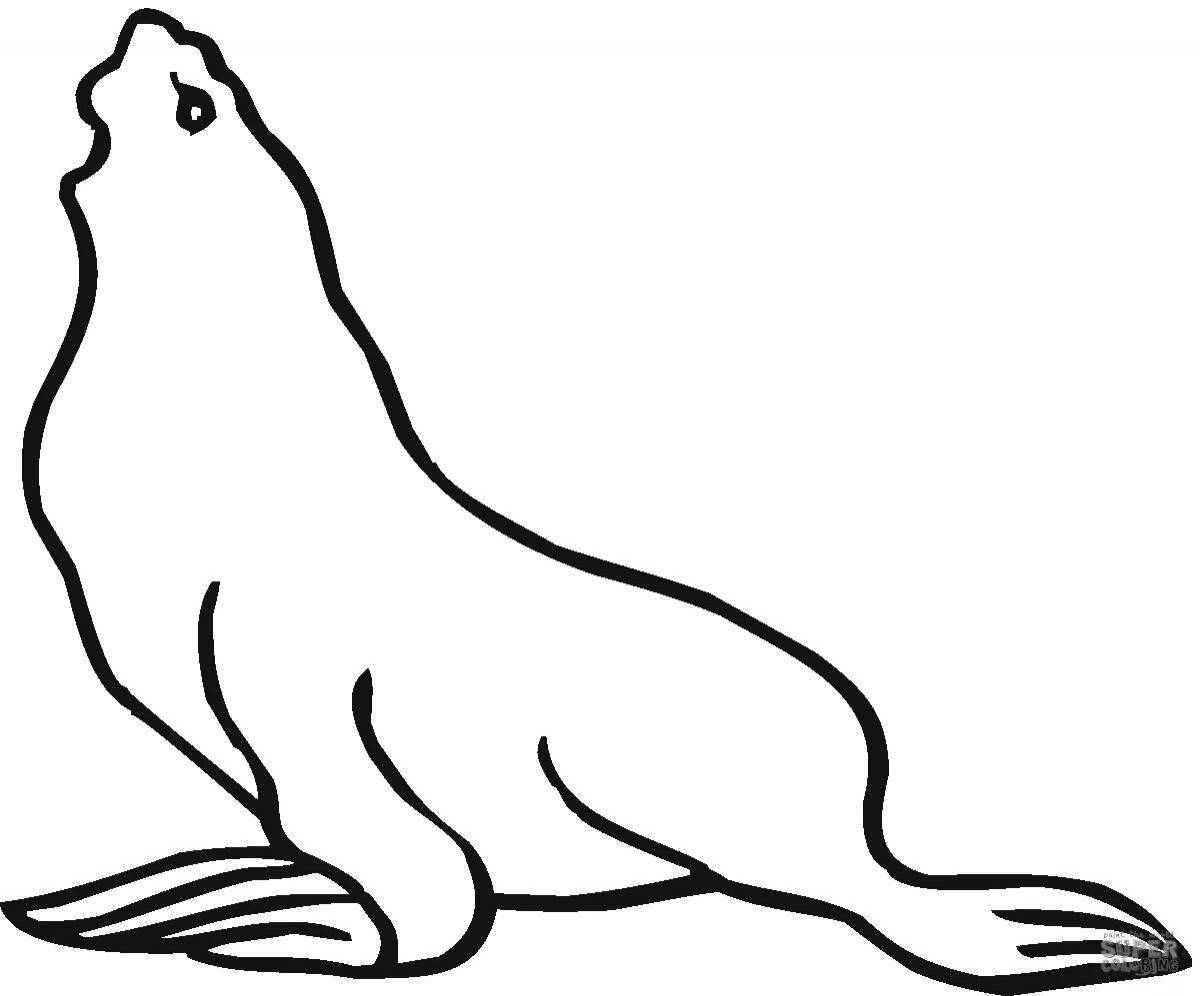 Humorous sea lion coloring book for kids