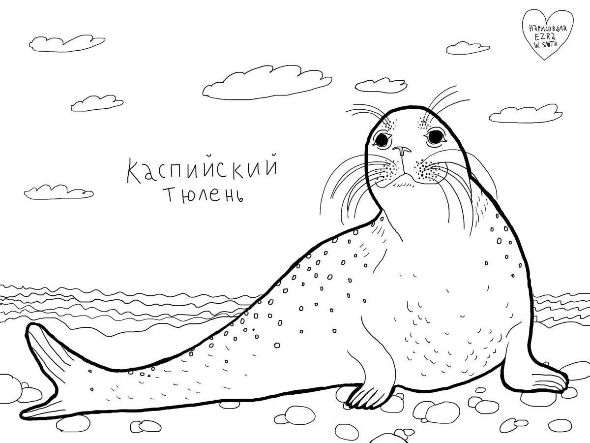 Colorful sea lion coloring pages for kids