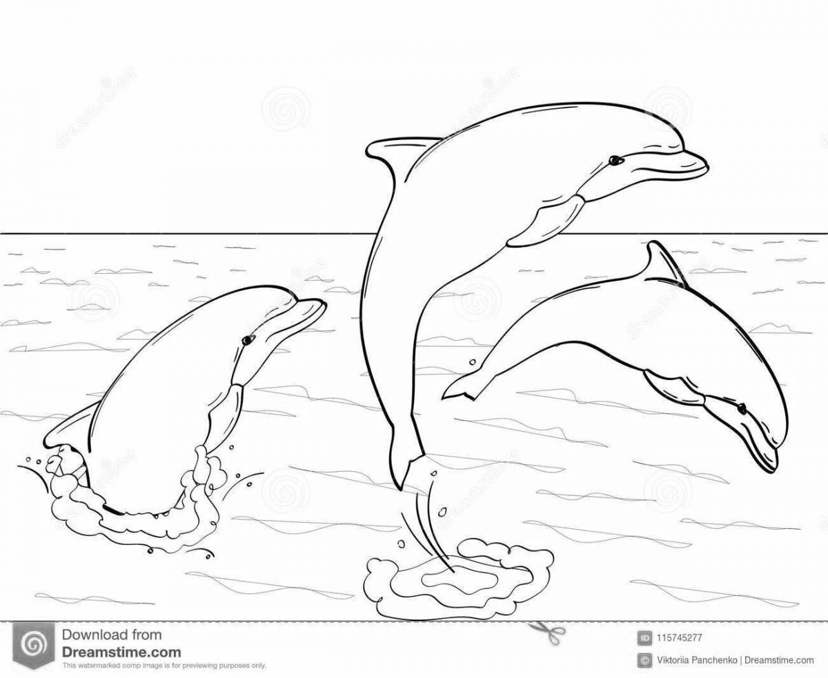 Coloring playful dolphin