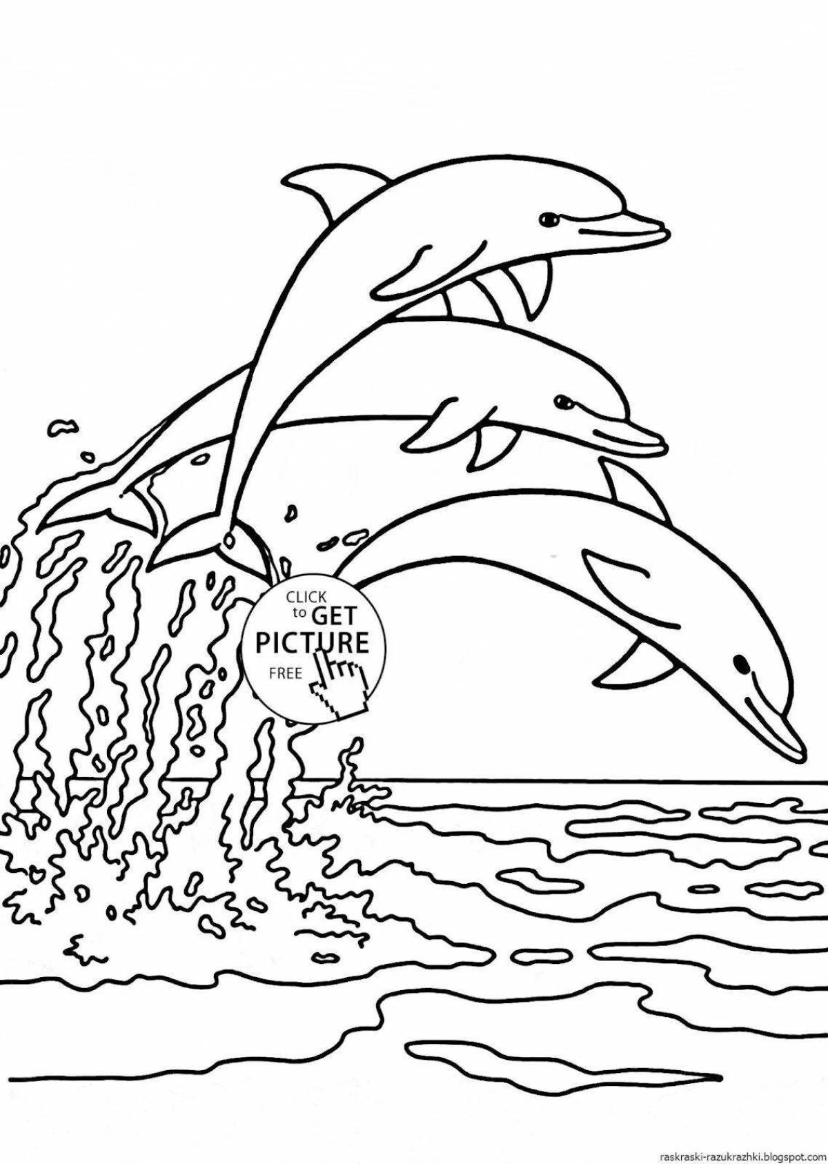 Великолепная раскраска дельфинов