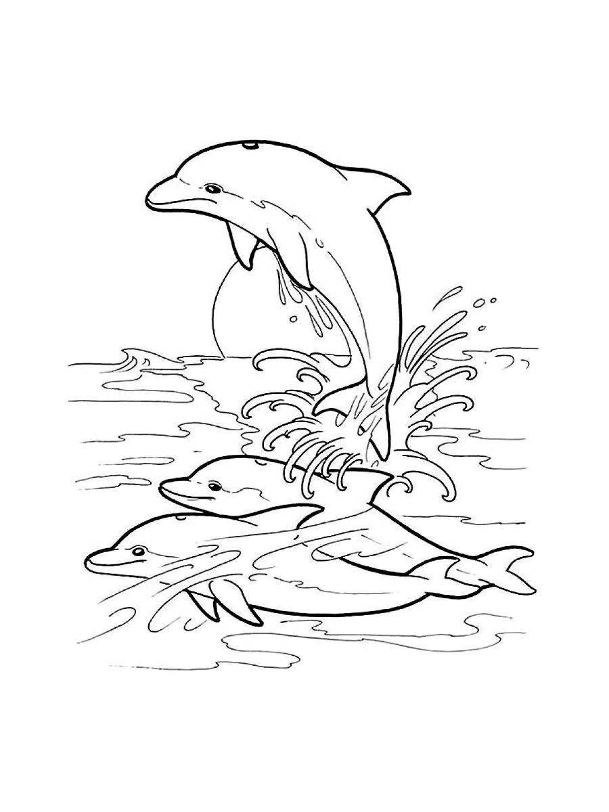 Раскраска «великолепный дельфин»
