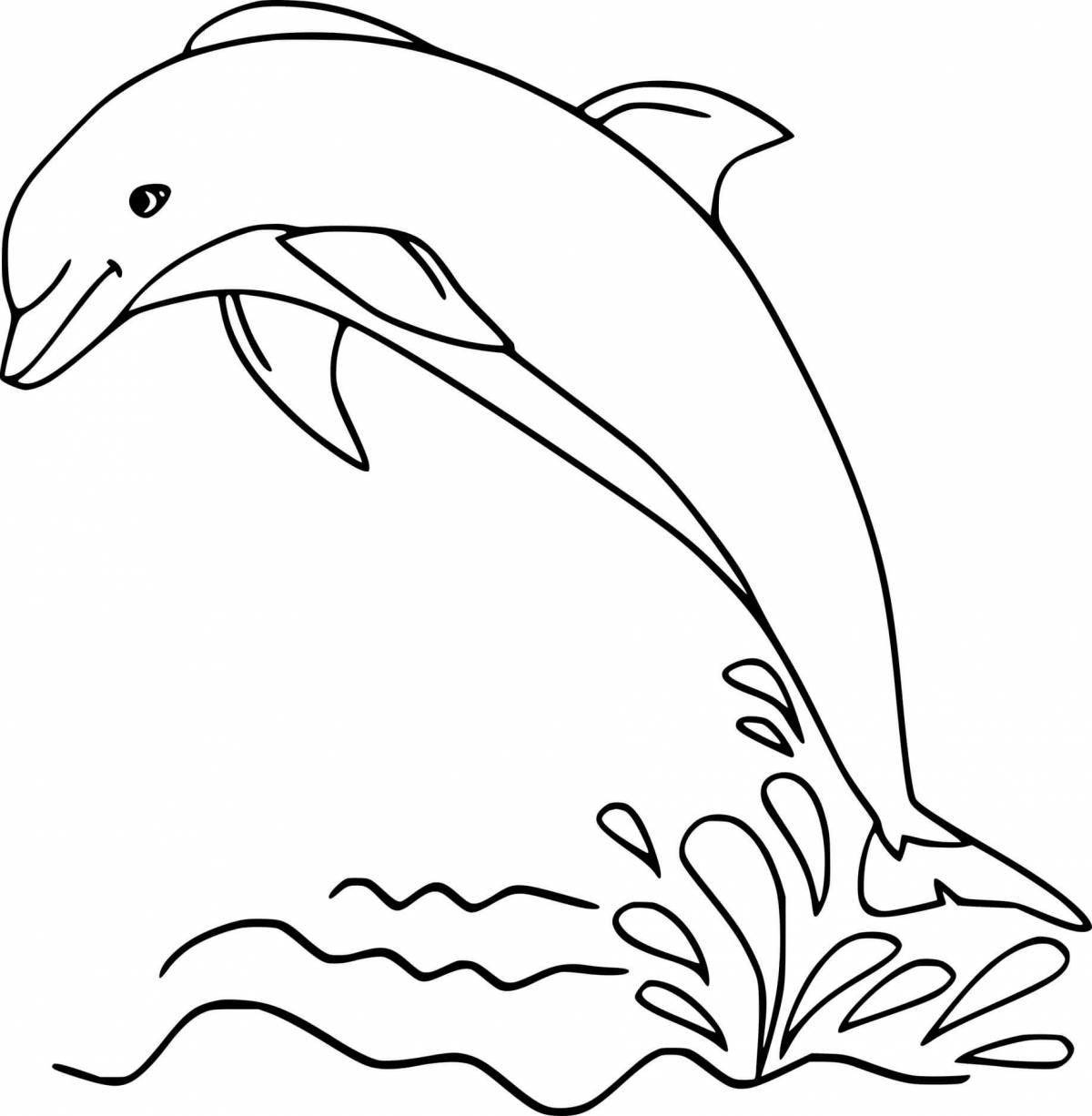 Romantic dolphin coloring page