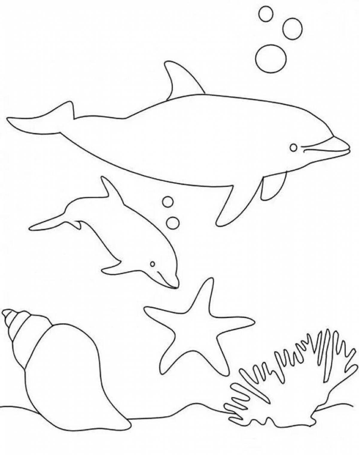 Gorgeous dolphin coloring page