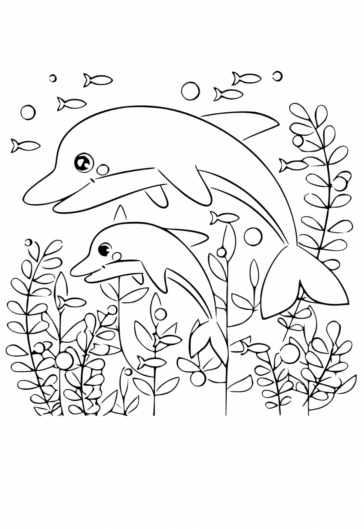 Unforgettable dolphin coloring book