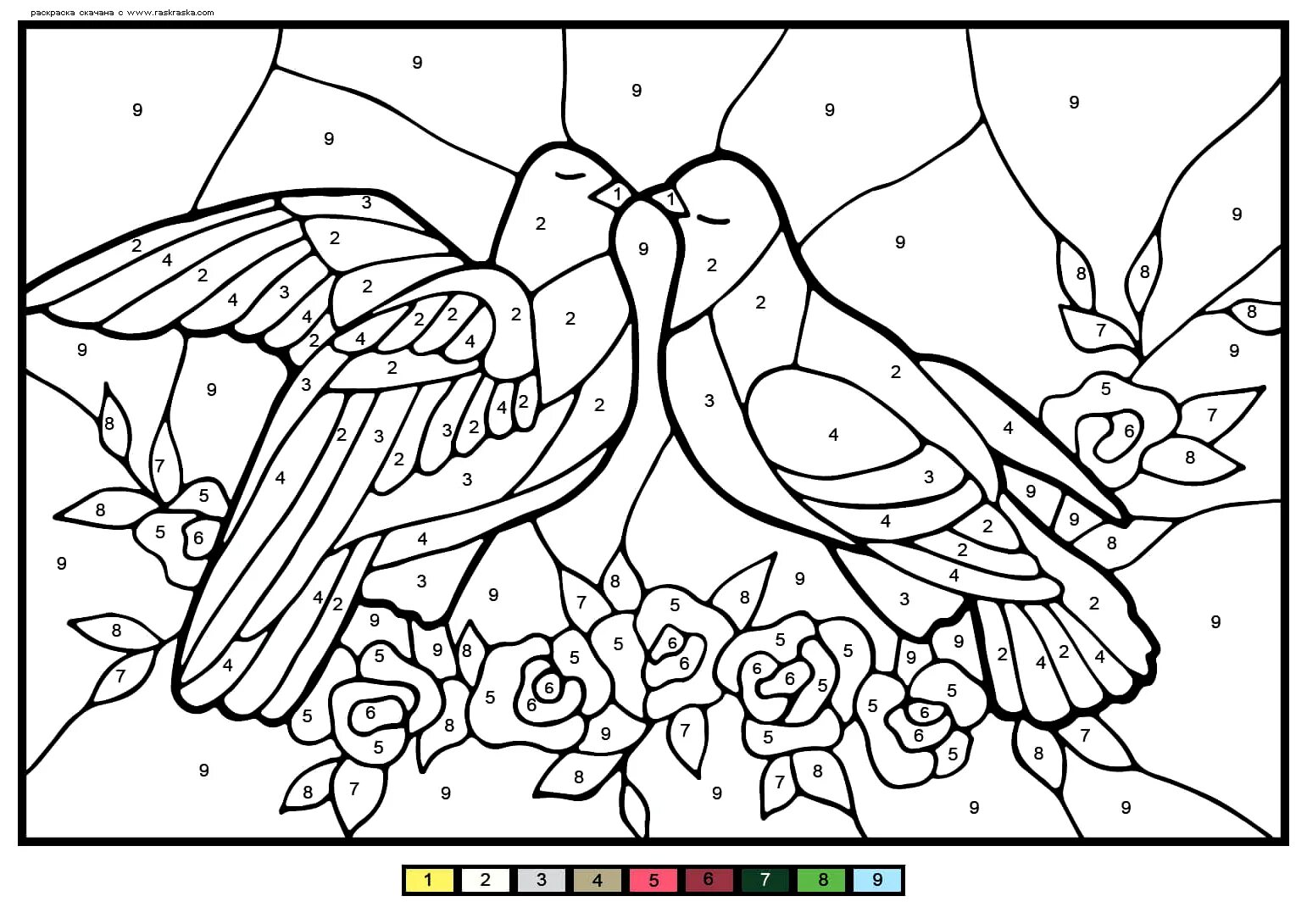 Animated coloring parrot