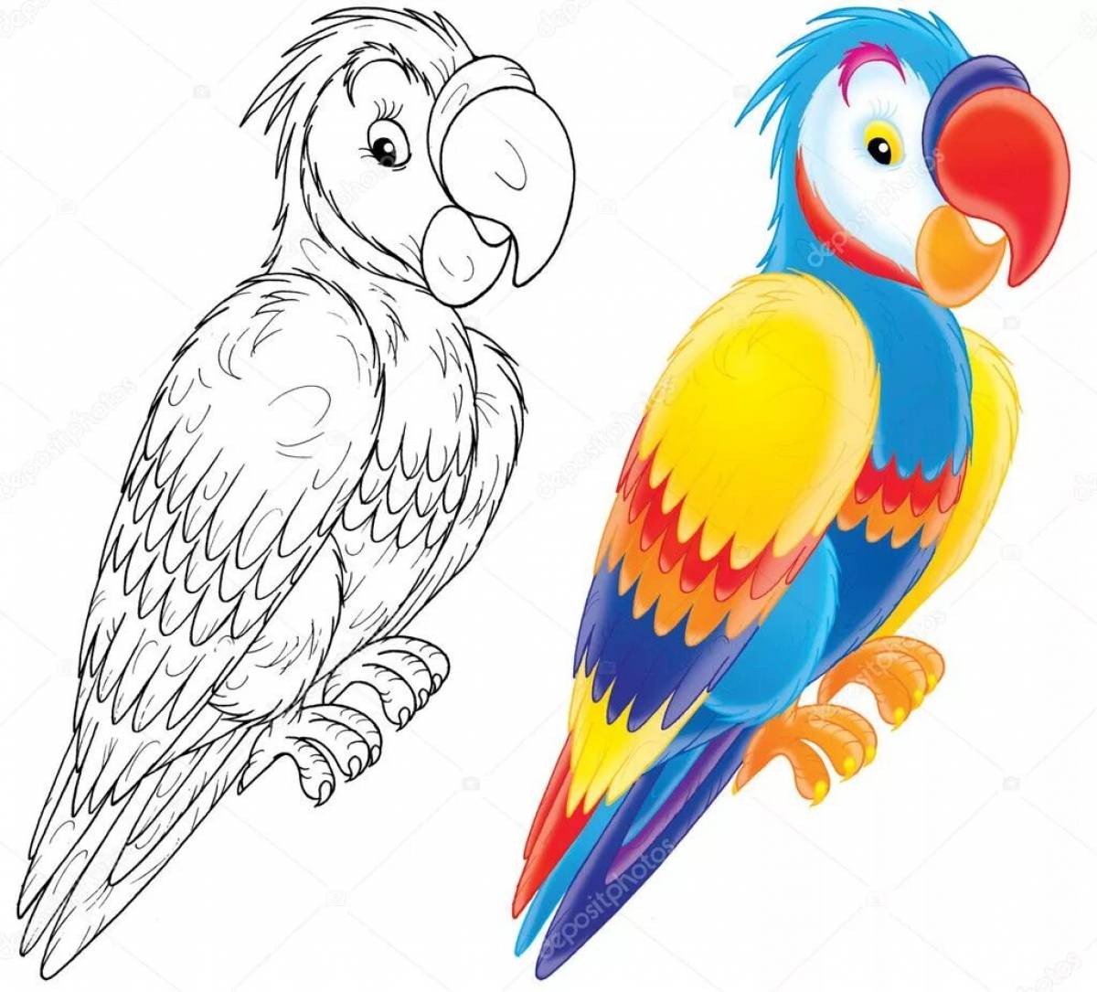 Sparkling parrot coloring book
