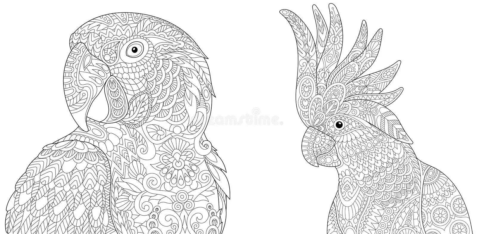 Luxury parrot coloring book