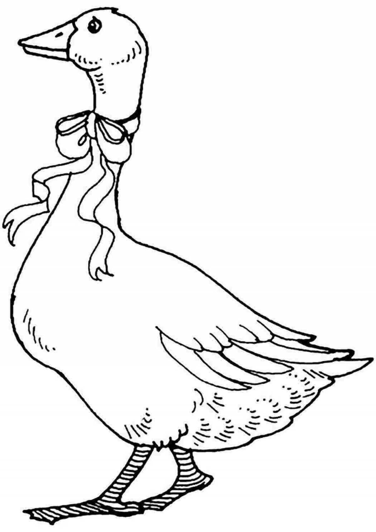 Colourful geese coloring pages for girls