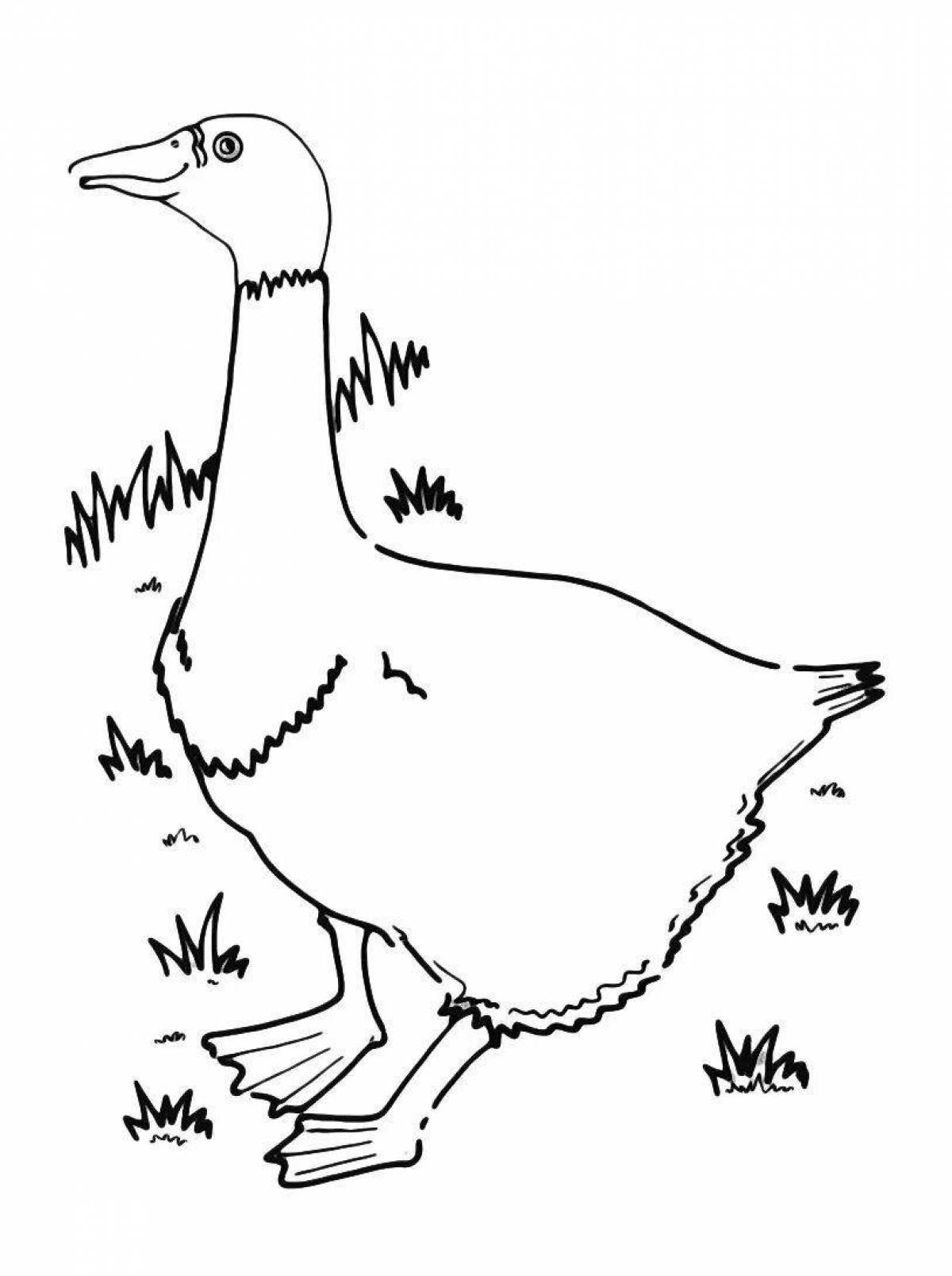 Sparkling geese coloring page for girls