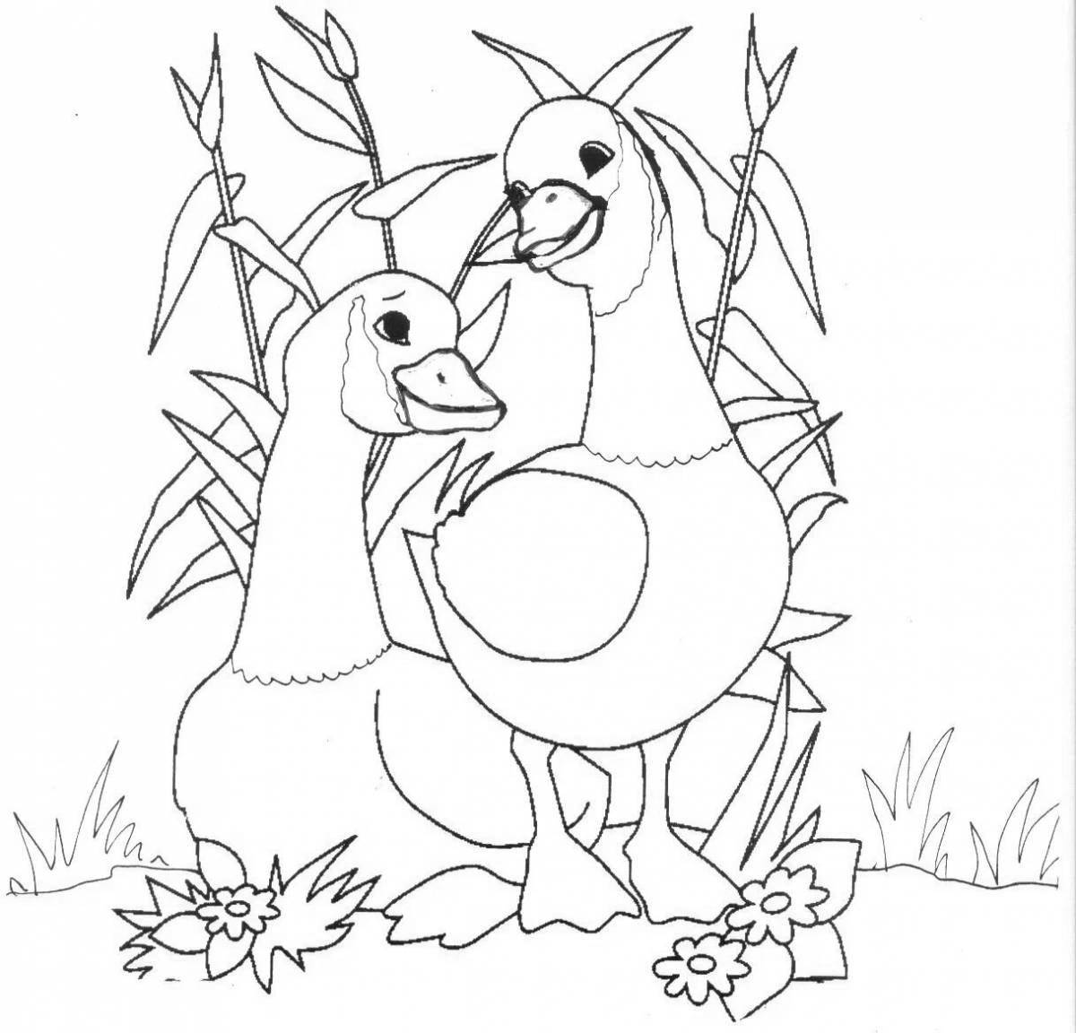 Glamorous geese coloring page for girls