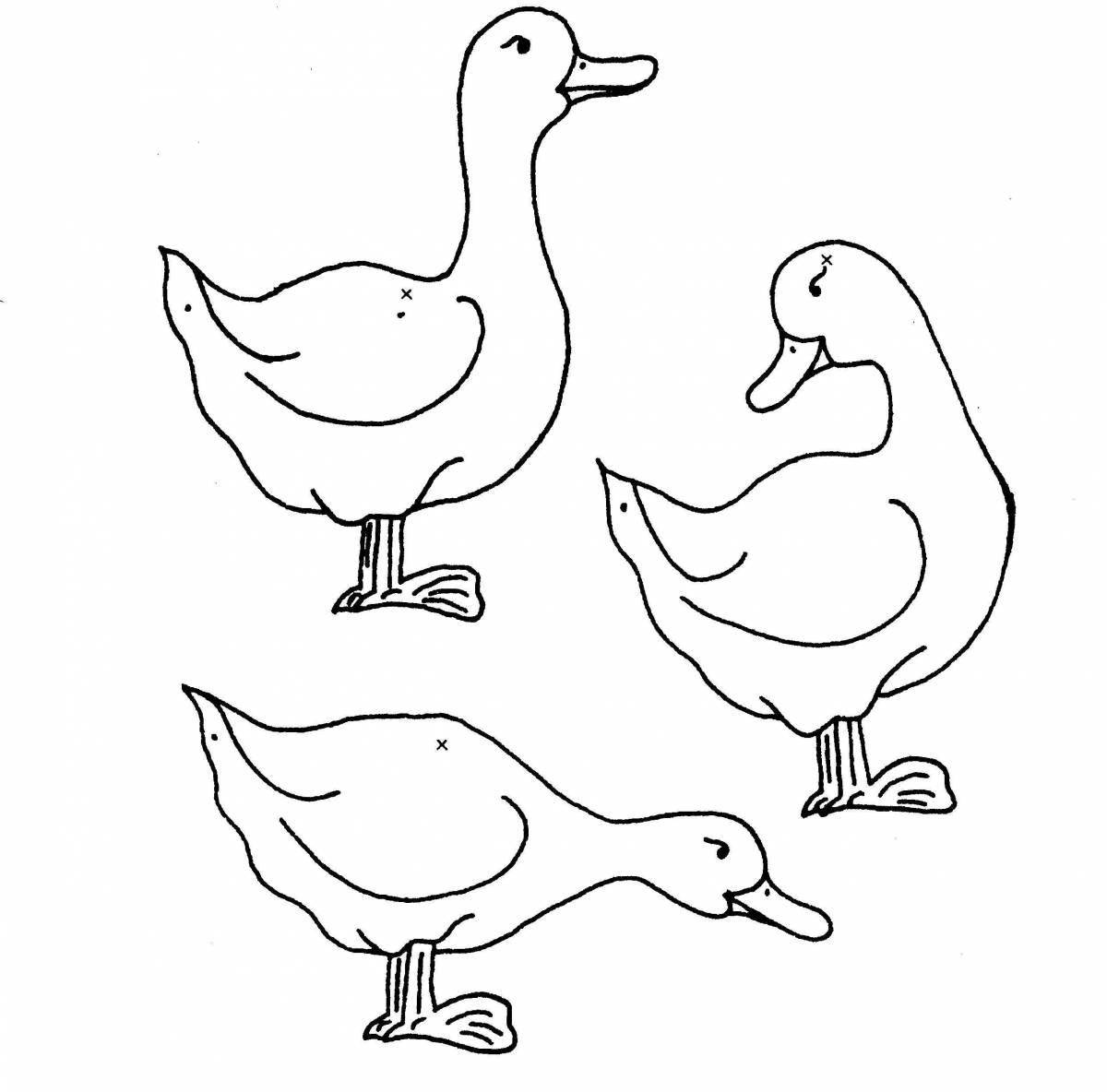 Hypnotic geese coloring pages for girls