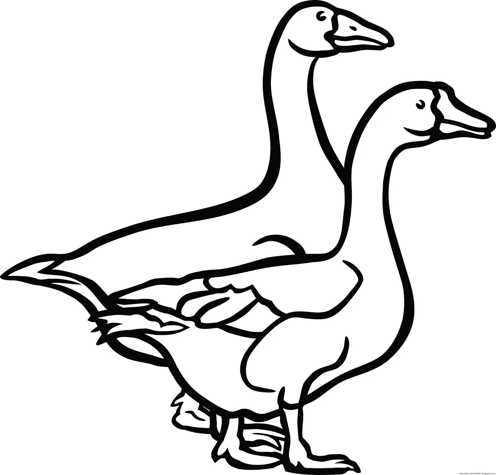 Awesome geese coloring pages for girls