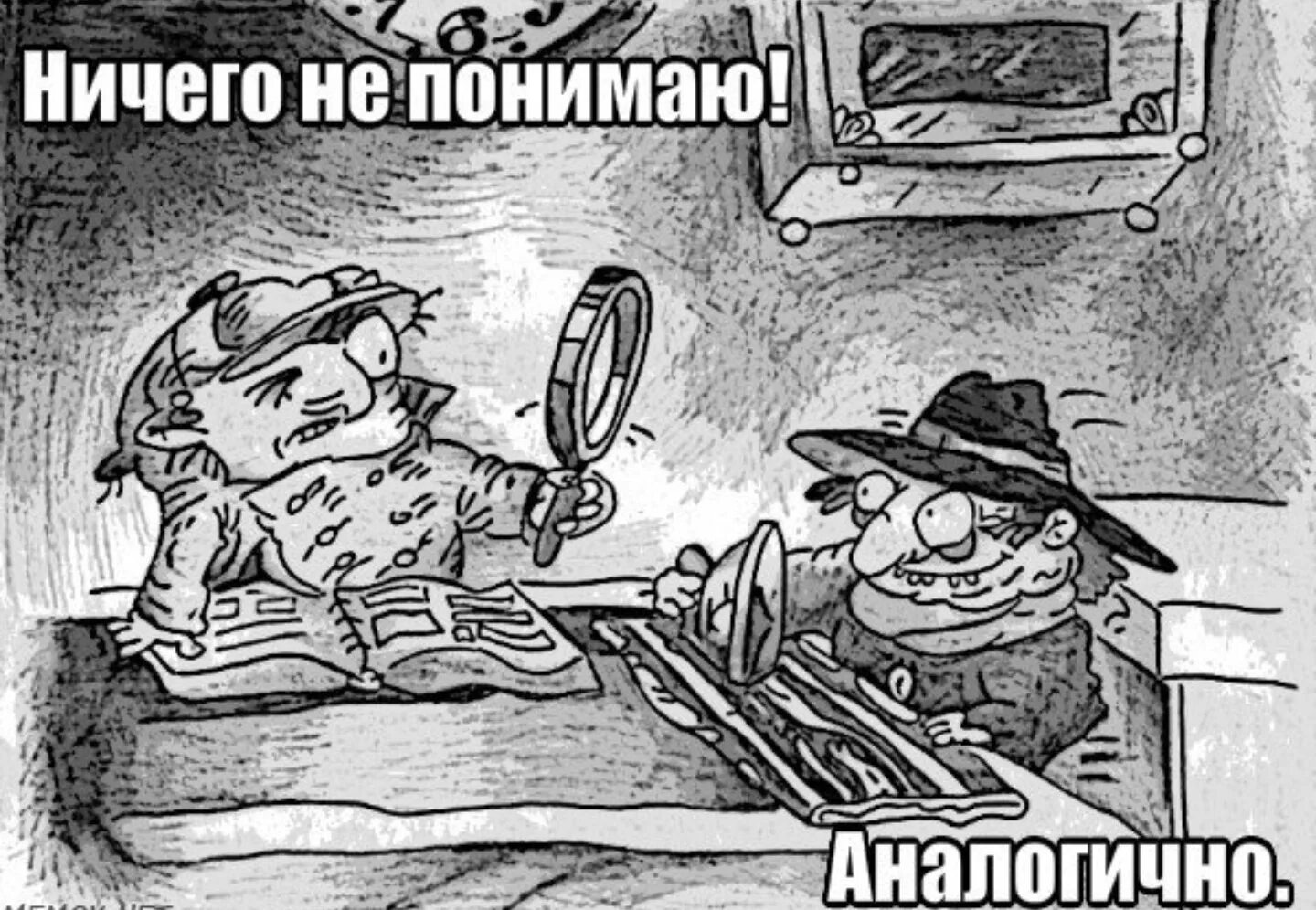 Photo Fun koloboks are investigating