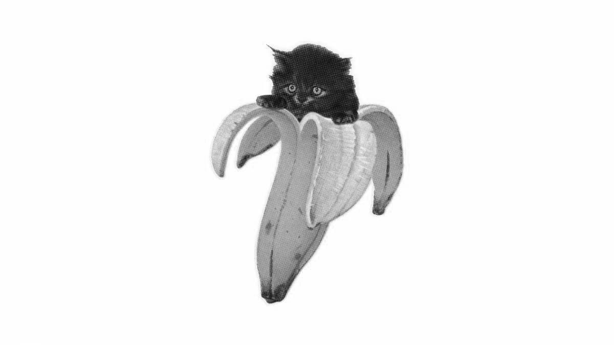 Cat in banana #11