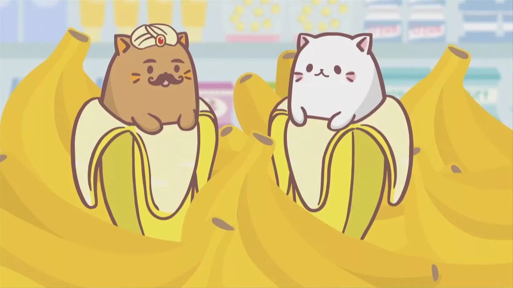 Cat in banana #17