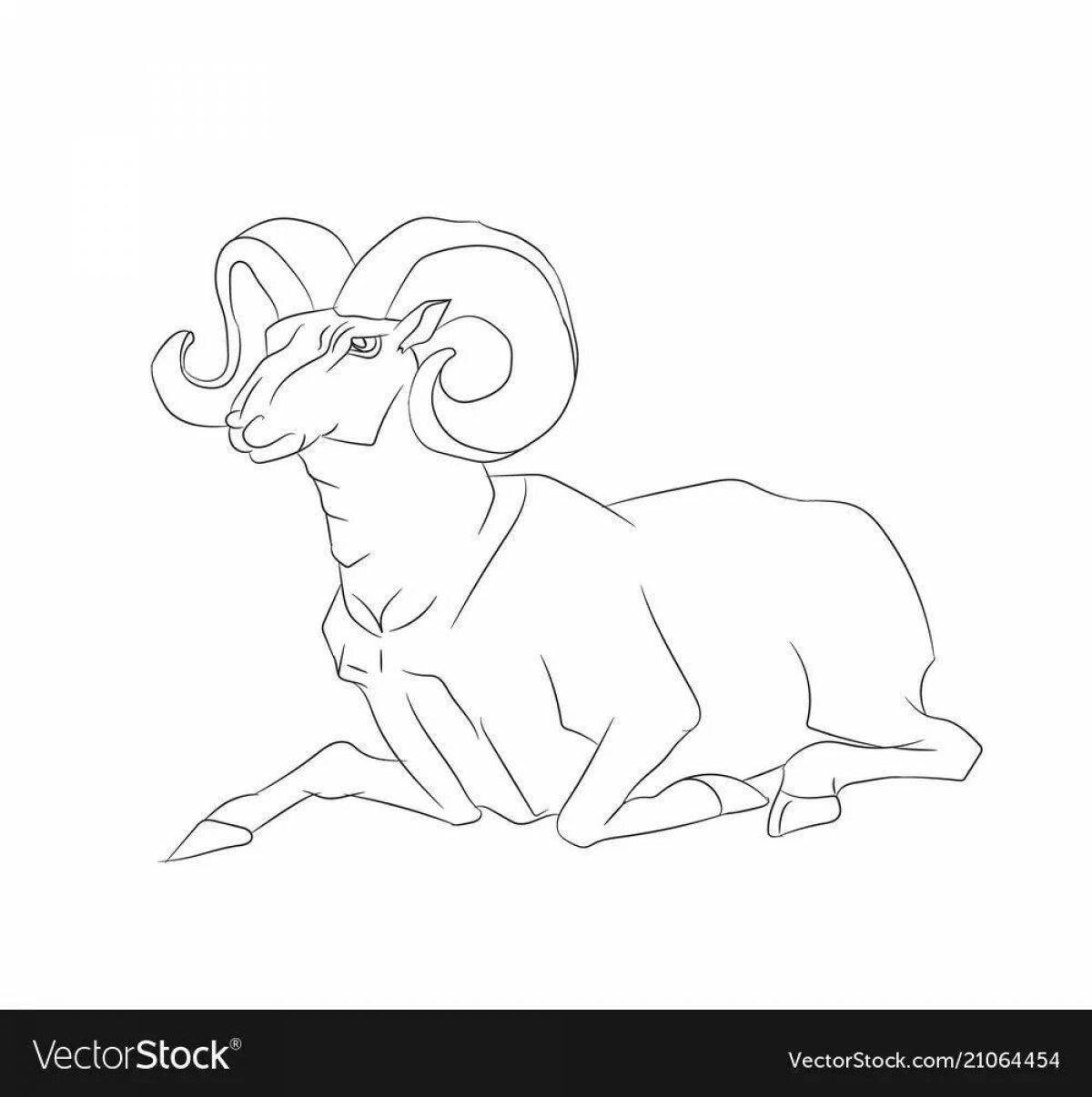 Photo Coloring book majestic Altai mountain sheep