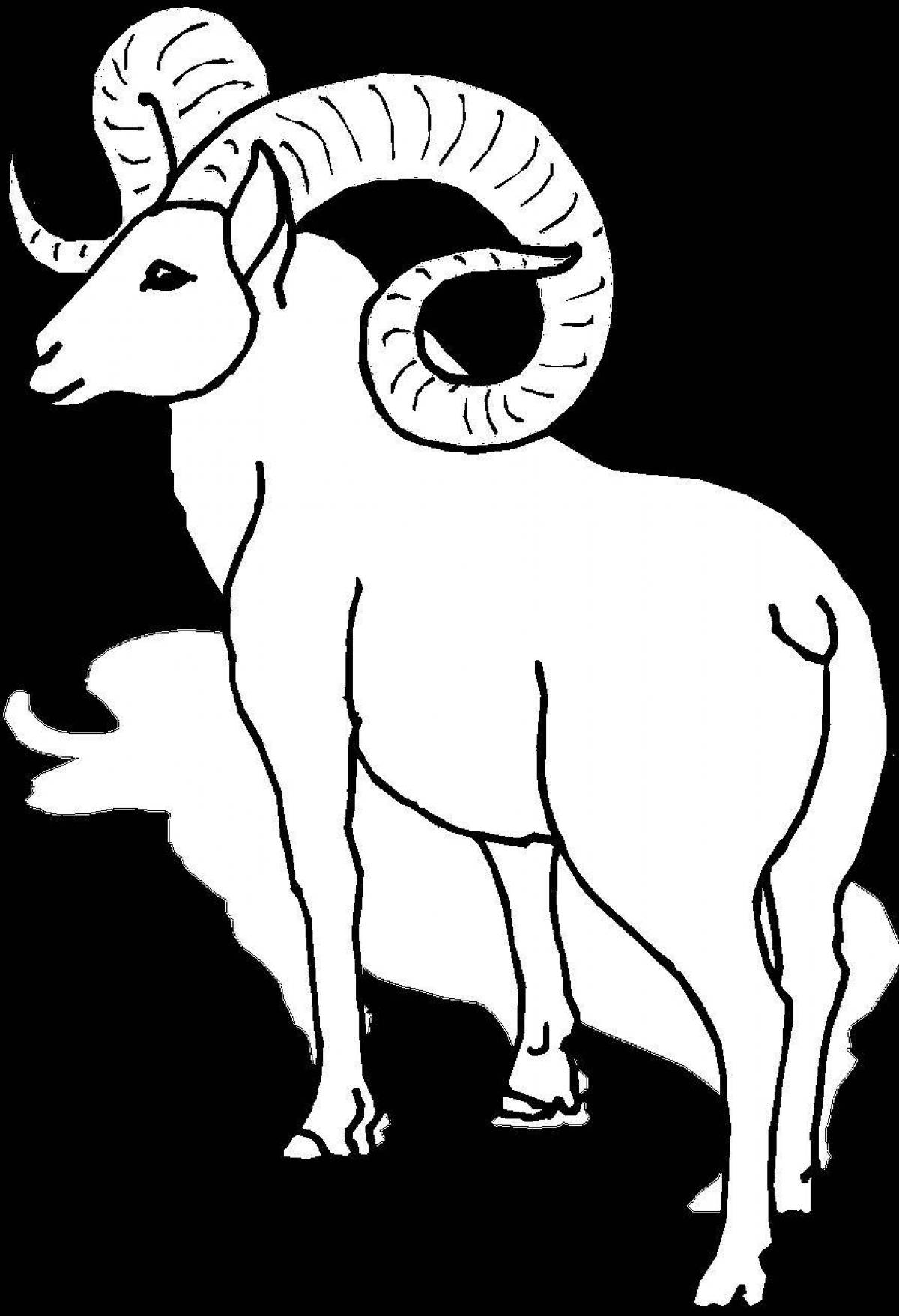 Coloring page delightful Altai mountain sheep