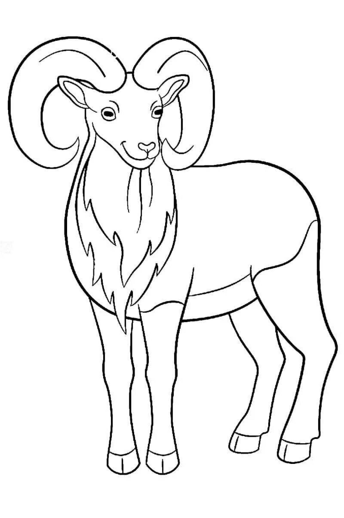 Coloring page wild Altai mountain sheep