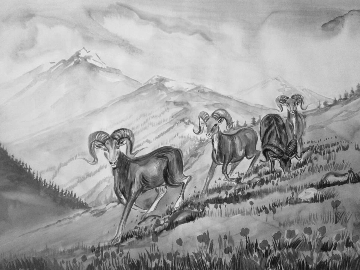 Coloring book cheerful Altai mountain sheep