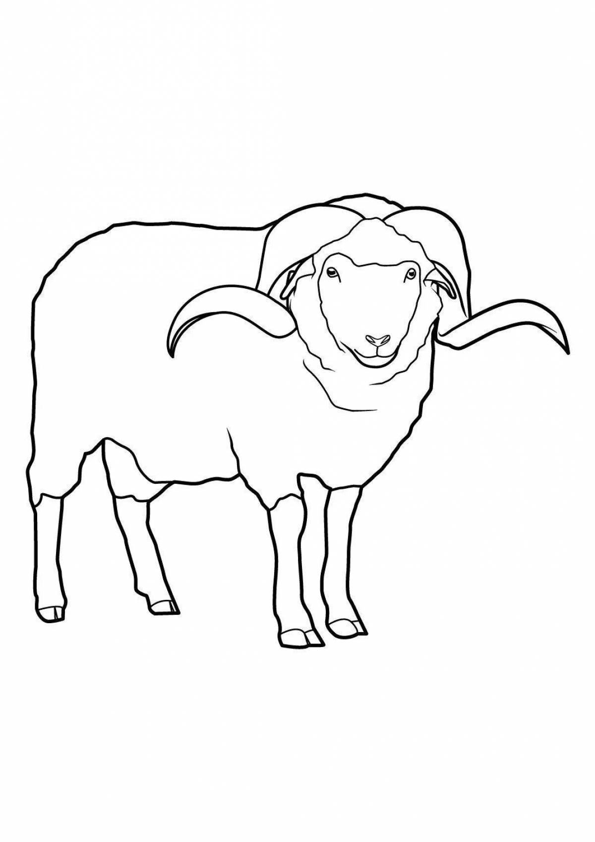 Altai mountain sheep animated coloring page