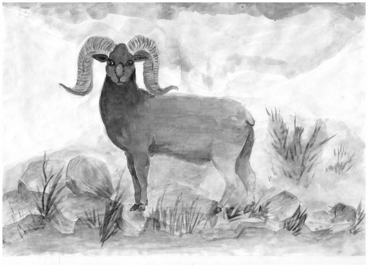 Altai mountain sheep coloring page