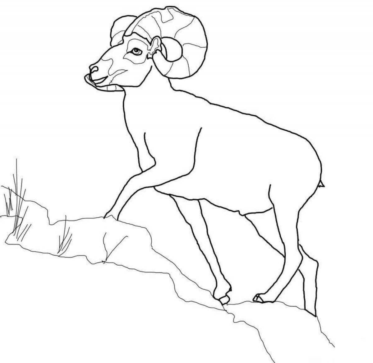 Sweet Altai mountain sheep coloring page