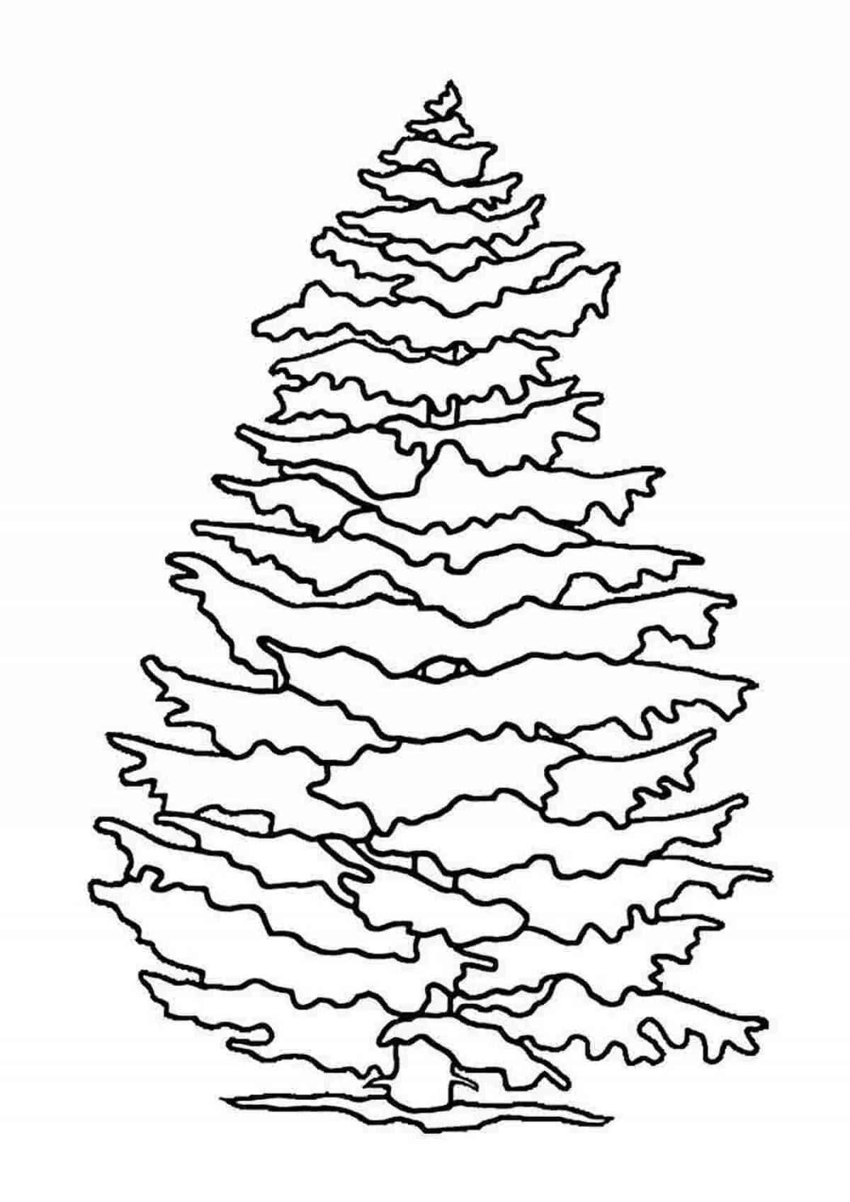 Coloring spruces for kids