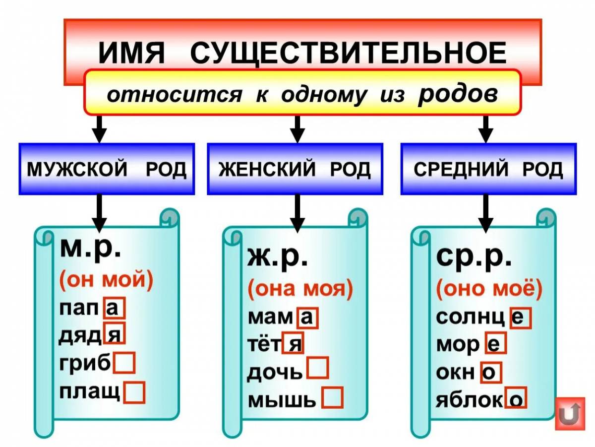 Потрясающий цвет страницы раскраски рода существительных