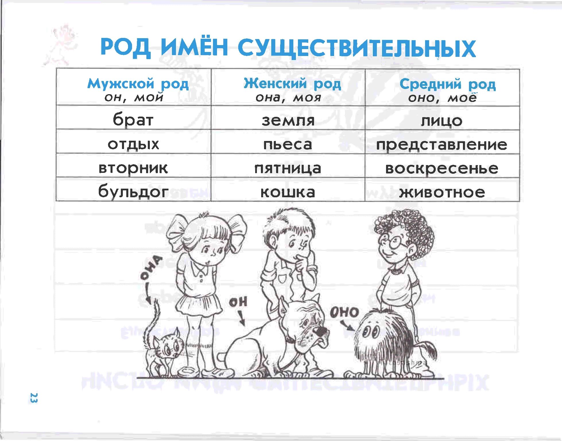 Существительные 3 класс карточки с заданиями. Правила русского языка. Правила по русскому. Род имен существительных задания для дошкольников. Картинки и задания на род имён существительных.