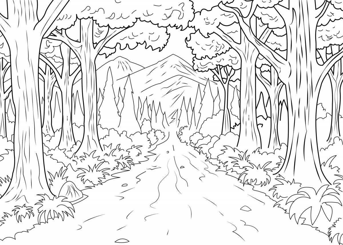 Фото Деревенская раскраска путь в лесу