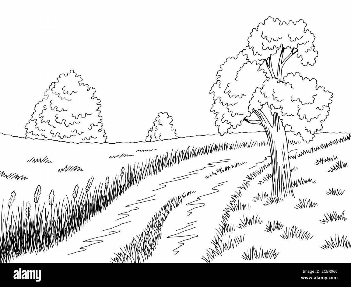 Photo Awesome forest road coloring book