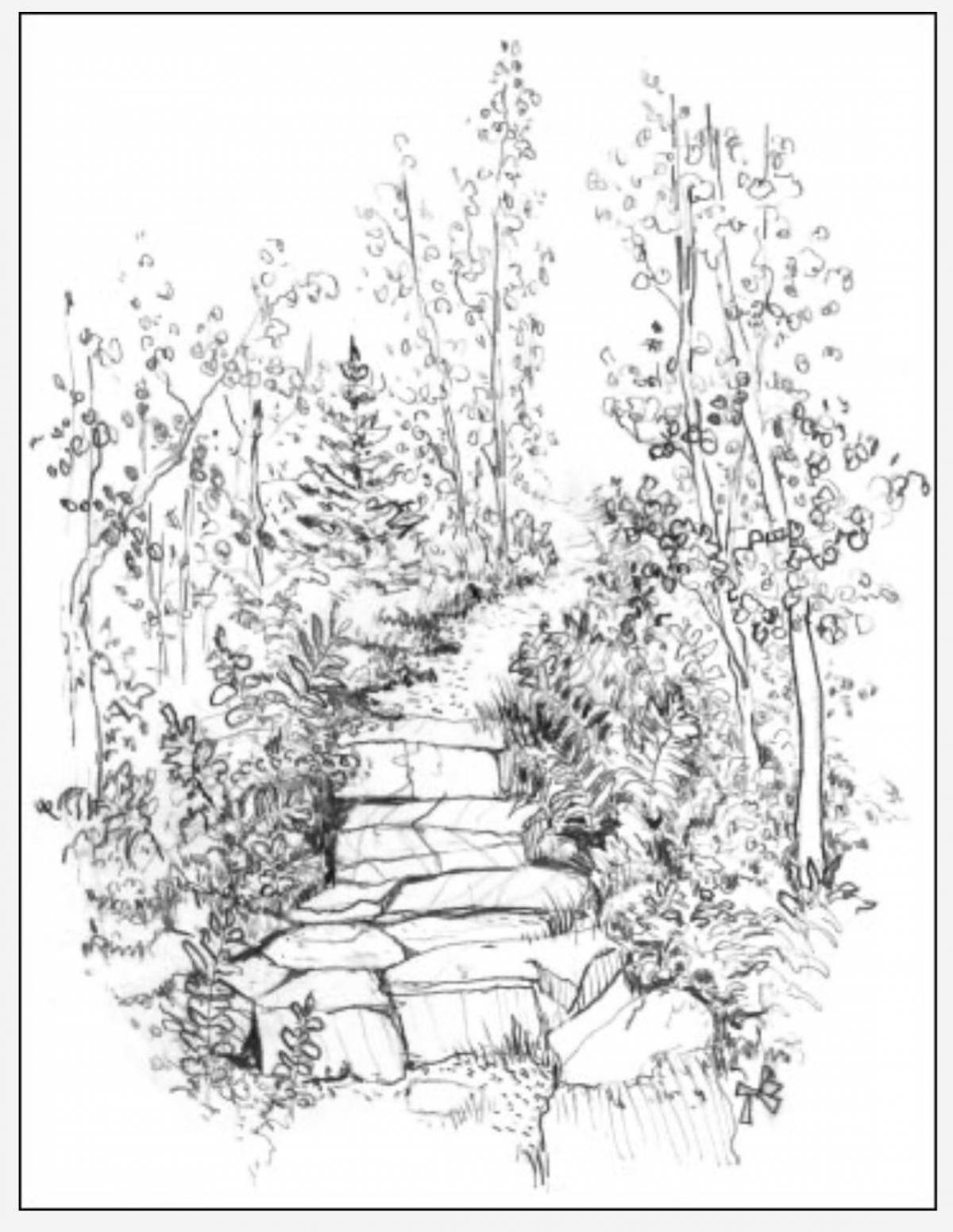 Photo Exquisite forest road coloring book