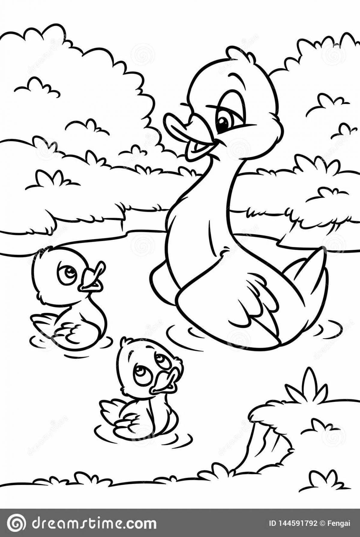 Adorable duck and duckling coloring pages