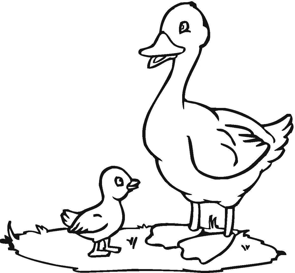 Coloring book joyful duck and duckling
