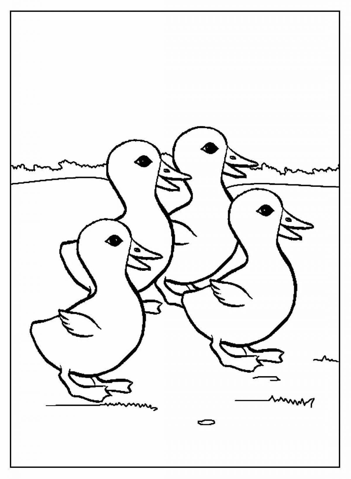Cute duck and duckling coloring pages