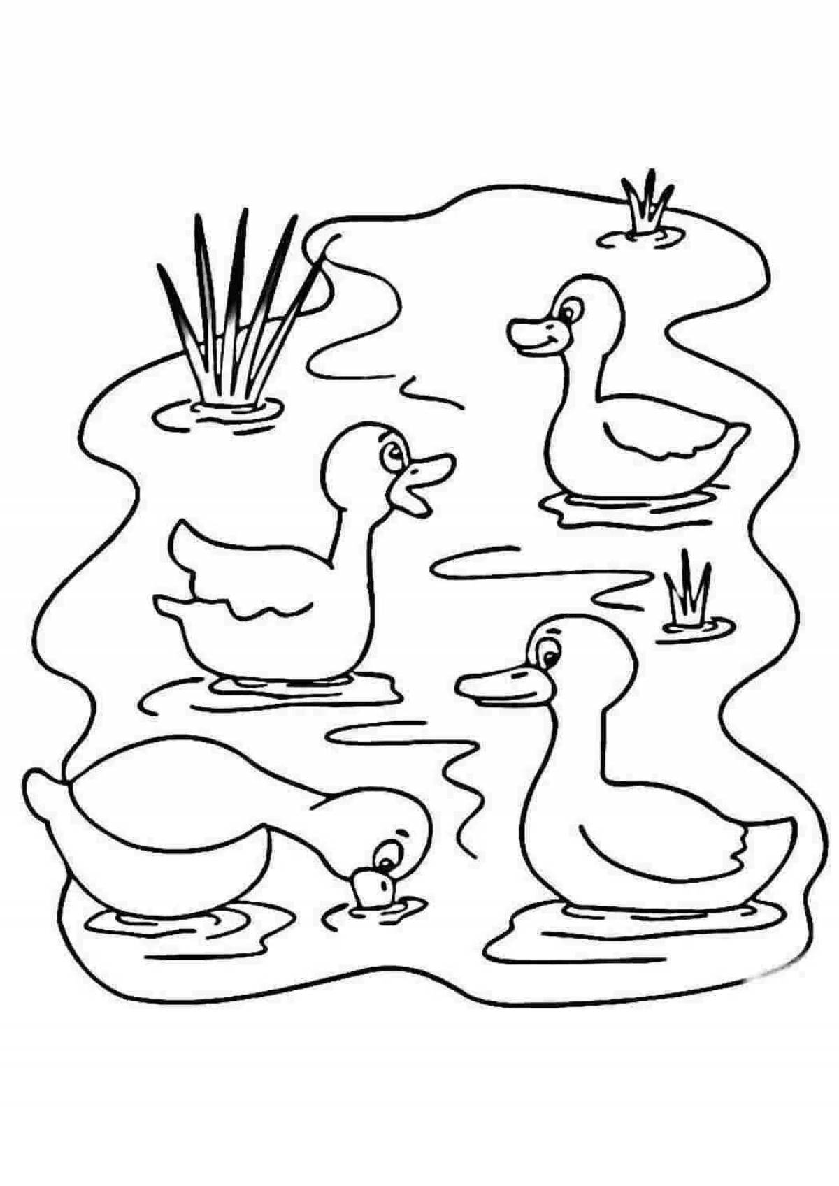 Coloring book bright duck and duckling