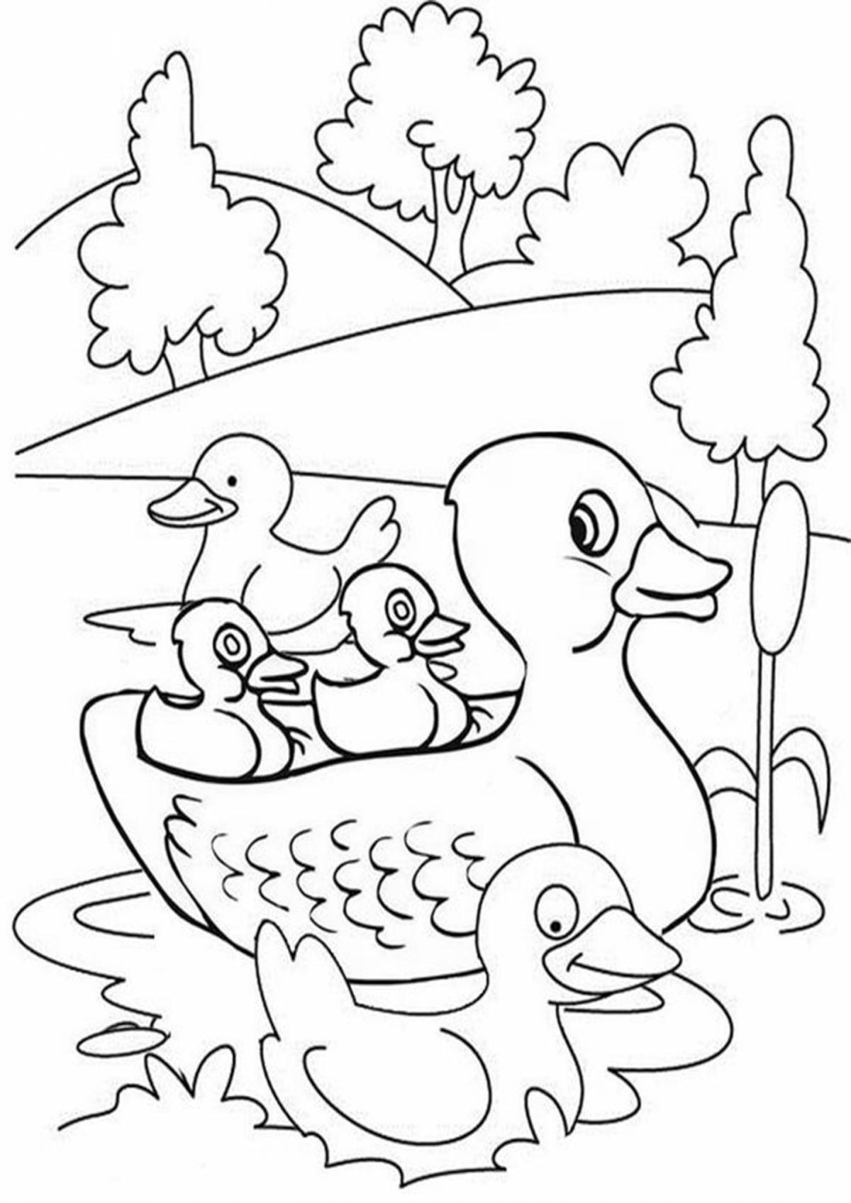 Coloring book glowing duck and duckling