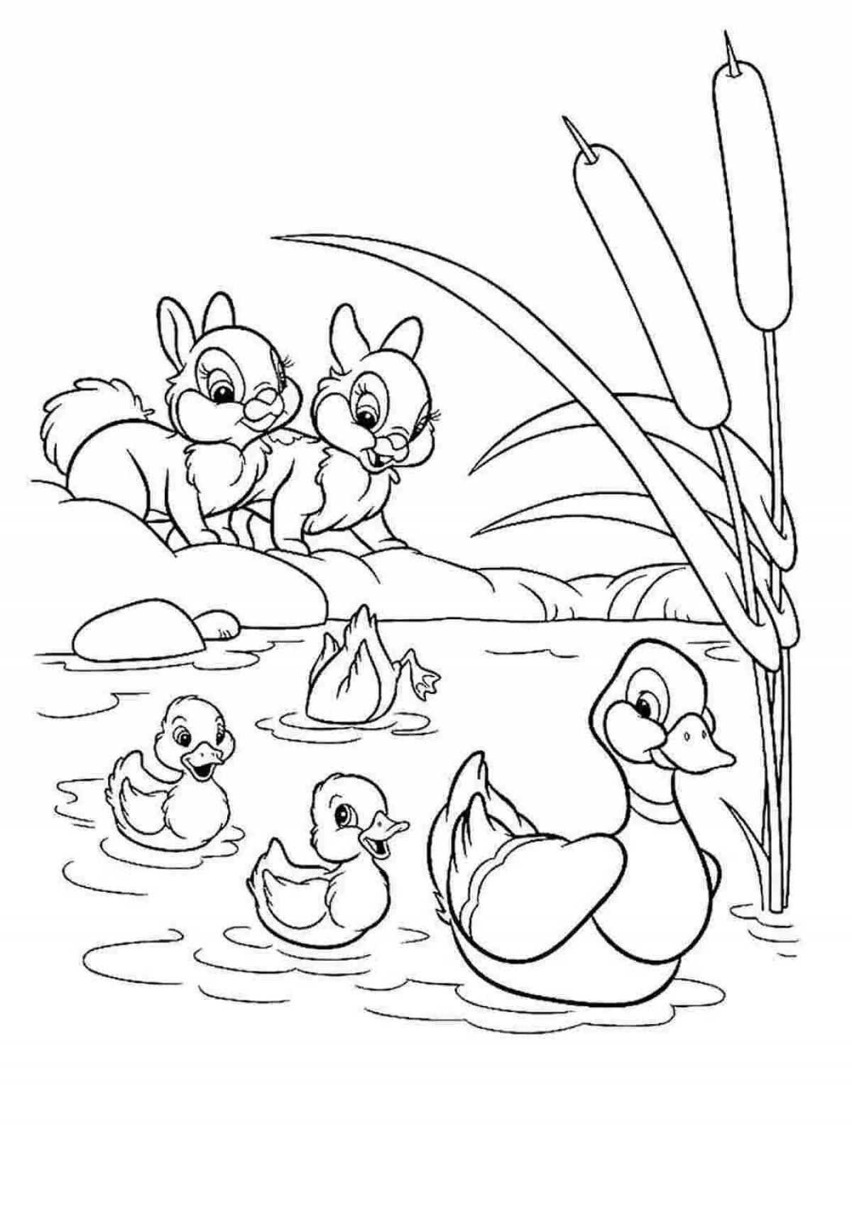 Coloring book gorgeous duck and duckling