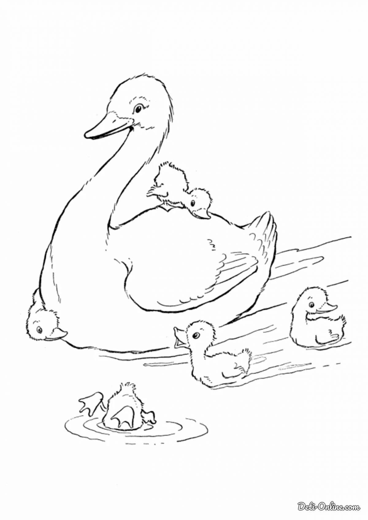 Sparkling duck and duckling coloring page