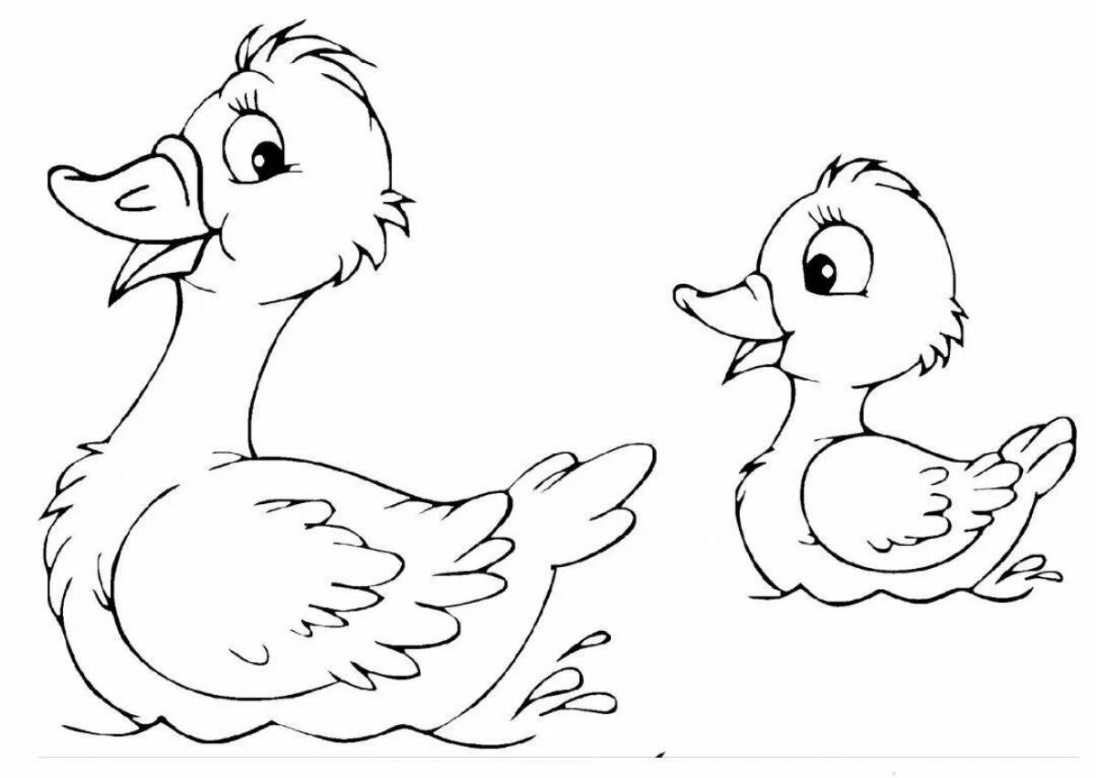 Duck with duck #7